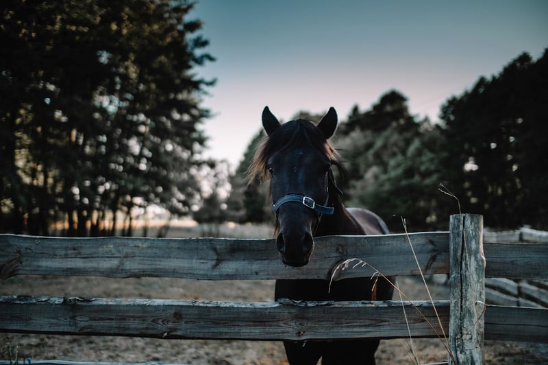 Vintage Country